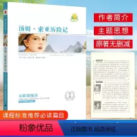 [正版]同读系列 汤姆索亚历险记 无障碍阅读考点精练原著无删减完整版 南方出版社 小学课程课外名著456年级语文快乐阅