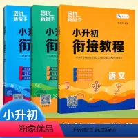 小升初衔接教程[语+数+英] 小学升初中 [正版]2024培优新帮手小升初衔接教程语文数学英语专题知识详解6升7年级暑假
