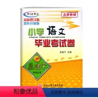 毕业考试卷[语文] 小学升初中 [正版]2024新版孟建平小学语文毕业考试卷第8次修订小升初语文系统总复习专项综合测试卷