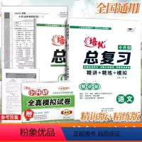 语文(送模拟卷) 小学升初中 [正版]2024培优小升初语文总复习升级版精讲精练阅读理解小学六6年级语文毕业总复全考