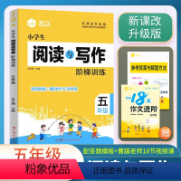 阅读与写作 小学五年级 [正版]2024思脉小学生语文阅读与写作阶梯训练5五年级作文快速提分视频课讲解小学五年级上下册语