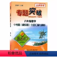 (数学)中考题分册汇编与解析 八年级 [正版]孟建平专题突破8八年级数学中考题(模拟题)分册汇编与解析ZT325答案解析