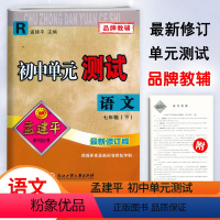 语文.人教版 七年级下 [正版]2024新版孟建平初中单元测试7七年级下册语文人教版测试卷初一7年级下册语文同步练习单元