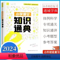 小学语文知识通典 小学通用 [正版]2024通成学典 小学语文知识通典 全国通用1-6年级统编语文知识精华基础知识大全字