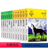 [1-12册]套装 [正版]全套12册完整版沈石溪的动物小说系列全集套装书籍狼王梦小学生三四五六年级儿童文学斑羚飞渡第七