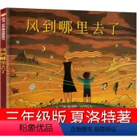 [正版]风到哪里去了三四年级阅读明天出版社儿童绘本夏洛特著信谊世界精选图画图书籍课外阅读小学生5他知道从少年来3不注音