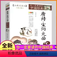 [正版]新版唐诗宋词元曲大全集原文+赏析鉴赏辞典学生拓展阅读本精选书籍经典导读解析小学生初中生选读少儿儿童词典全套非精
