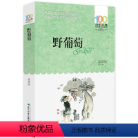 [正版]野葡萄葛翠琳著三四五六年级课外阅读100百年百部中国儿童文学名家经典图书籍阅读故事系小学生湖北长江少年出版社少