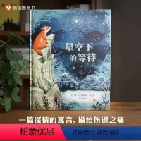 单本全册 [正版]图书星空下的等待 3-8岁精装绘本一本美丽且深情的绘本诉说着向亲爱的人道别之后生活将如何继续前行生命教