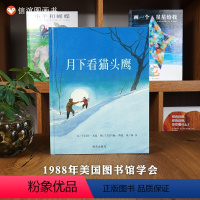 单本全册 [正版]图书月下看猫头鹰绘本凯迪克金奖精装幼儿童孩子家庭亲子情商绘本故事图画书籍0-3-4-5-6-8-9-1