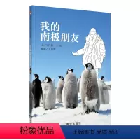 我的南极朋友 [正版]信谊图书我的南极朋友小学暑期阅读书目幼儿亲子阅读绘本故事图画书6岁以上儿童绘本科普百科动物知识