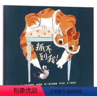 单本全册 [正版]信谊图书抓不到我!0-3-6周岁幼儿园儿童绘本幼儿故事书宝宝启蒙绘本图画书幼儿园绘本早教书儿童读物图画