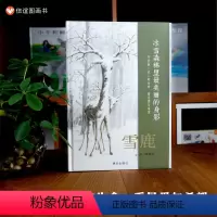 单本全册 [正版]图书雪鹿 3-6岁精装绘本幼儿园小学阅读本亲子阅读早教启蒙图画书自然保护晚安故事书经典书籍人与自然相处