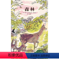 单本全册 [正版]信谊图书森林儿童绘本0-3岁幼儿园小班中班大班一年级经典硬皮精装硬壳书籍 宝宝3-6周岁早教启蒙认