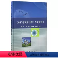[正版]CO2矿化利用与钾长石资源开发(精)
