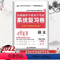 [正版]实战初中学业水平考试系统复习卷九年级+中考语文9年级升学总复习系统强化训练中考知识点总结招生语文真题卷模拟卷初