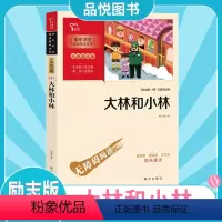 大林和小林 [正版]大林和小林 6-8-10-12岁儿童童话故事书小学生课外阅读书一二三四五六年级课外书青少年儿童文学故