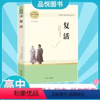 复活 高中通用 [正版]高中阅读书目复活 高中语文配套名著阅读 高中生素材经典文学名著课外书 南方出版社书 列夫