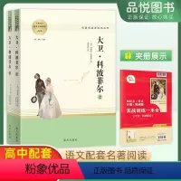 大卫·科波菲尔 [上册+下册] [正版]大卫科波菲尔上册下册2本套装查尔斯 狄更斯著完整版高中语文阅读名著书籍人教版高中