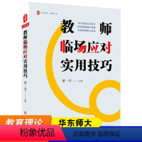 [正版]华东师大 教师临场应对实用技巧 大夏书系 智慧教师 课堂教学管理 情感心理疏导 学习问题 行为问题指导 人际交