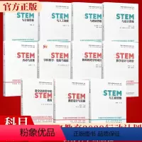 [全11册]中国STEM教育2029行动计划丛书 [正版]中国STEM教育2029行动计划丛书 STEM课程设计与实施
