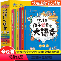 这才是孩子爱看的大语文全套6册 [正版]这才是孩子爱看的大语文全套6册小古文汉字诗词作文大全儿童词语积累小学生课外阅读书