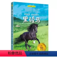黑骏马(夏洛书屋·经典版) [正版]图书黑骏马(夏洛书屋·经典版)[英]安娜·塞维尔著9787532794737上海译文