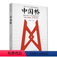 [正版]图书 中国桥:新中国70年建桥故事文武松长江少年儿童9787556098446