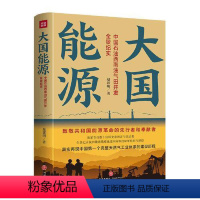 [正版]图书大国能源:中国石油西南油气田开发全景纪实( 部西南油气开发史! 部 国能源崛起史!)赵郭明97875455