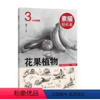 [正版]图书素描轻松画:花果植物魏平9787540155209河南美术出版社