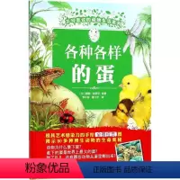 不可思议的动物生活系列?各种各样的蛋 [正版]图书不可思议的动物生活系列?各种各样的蛋蕾妮·哈伊尔97875590276