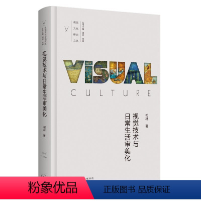 [正版]图书视觉技术与日常生活审美化祁林著9787108073020生活·读书·新知三联书店