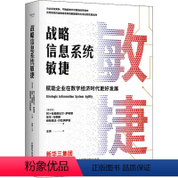 [正版]图书战略信息系统敏捷 赋能企业在数字经济时代更好发展