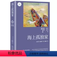 [正版]图书 长江译文馆:海上孤*(澳)乔治·约翰斯顿长江文艺9787570216734