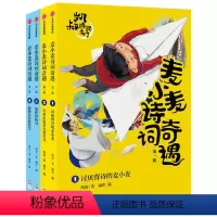 [共4册]麦小麦诗词奇遇·第一辑 [正版]童书 凯叔诗词来了 麦小麦诗词奇遇 第一辑 套装4册 小荷小姐和小蜻先生 银河