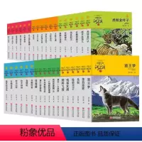 36册全套礼盒装 [正版]沈石溪动物小说精选品藏书系 全集全套36册狼王梦 8-9-10-12-15岁课外书 六年级鸟奴