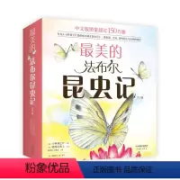 全12册 [正版] 美的法布尔昆虫记 全套12册 自然 儿童科普绘本 手绘彩图 名著 经典 昆虫 松冈达英 图书籍