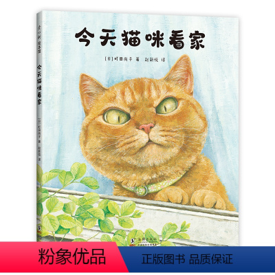 今咪看家 [正版]今天·猫咪看家 幽默搞笑疗愈想象力 猫咪故事绘本 《寻找自己名字的猫》町田尚子创作 获moe大奖