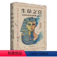 [正版]新书生命之宫:古埃及历史与地理 赵航 著、悠拉悠 绘 埃及-古代史-通俗读物