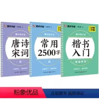 [3册]唐诗宋词+楷书入门+楷书常用2500 [正版]凹槽练字宝楷书练字帖3本装初学者成人手写练字男生女生字体漂亮字钢笔