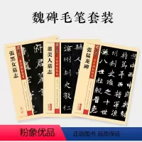 [正版]张黑女墓志张猛龙碑董美人墓志墨点毛笔字帖传世碑帖精选原碑原帖书法教程湖北美术出版社毛笔书法字帖3本套装魏碑毛笔