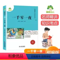 [正版]小学生课外书籍语文配套阅读系列爱德少儿一千零一夜一二三年级经典书目小学语文配套阅读名著图书儿童读物读本
