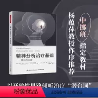 [正版]精神分析治疗基础——理论与实践 (挪威)西丽·埃丽卡·居勒斯塔,(挪威)比约恩·基林莫 著 武江 等 译 心理