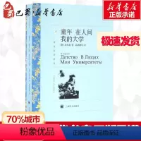 [正版]童年.在人间.我的大学/译文名著精选 (俄)高尔基 著 高惠群 译 世界名著文学 书店图书籍 上海译文出版社