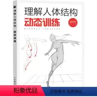 [正版]理解人体结构 动态训练 戚浩松 编 绘画(新)艺术 书店图书籍