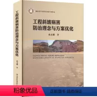 [正版]工程斜坡病害防治理念与方案优化 成永刚 著 地质学专业科技 书店图书籍 中国地质大学出版社有限责任公司