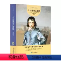 [正版]常青藤名家名译 少年维特之烦恼 12-18岁世界名著儿童文学