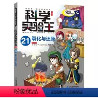 科学实验王21 氧化与还原 [正版]科学实验王 氧化与还原 我的第一本科学漫画书 适合小学中高年级和初中生学习数理化知识