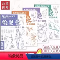 [全4册]伯里曼人体教学描摹本 [正版]伯里曼人体教学描摹本 手足结构 躯干四肢 动态比例 头颈结构 速写人物临摹画册