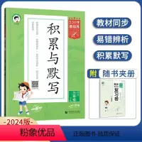 语文 三年级下 [正版]2024春新版小学语文积累与默写三年级下册通用版 53小学基础题3年级下册看拼音写词语汉语拼音积
